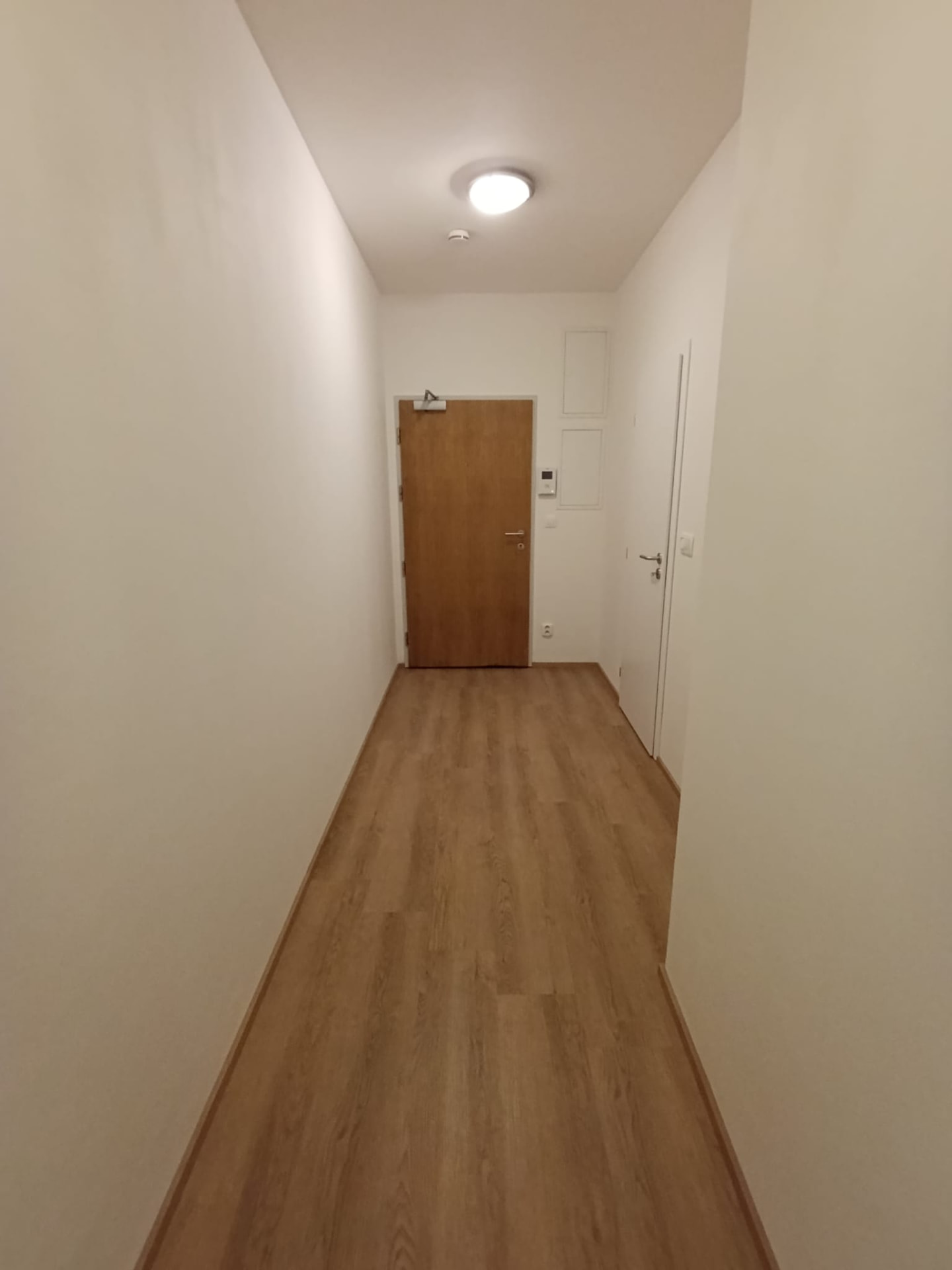Chodba bytu 1+kk na Praze 2 po výmalbě bílou barvou se vstupními dveřmi